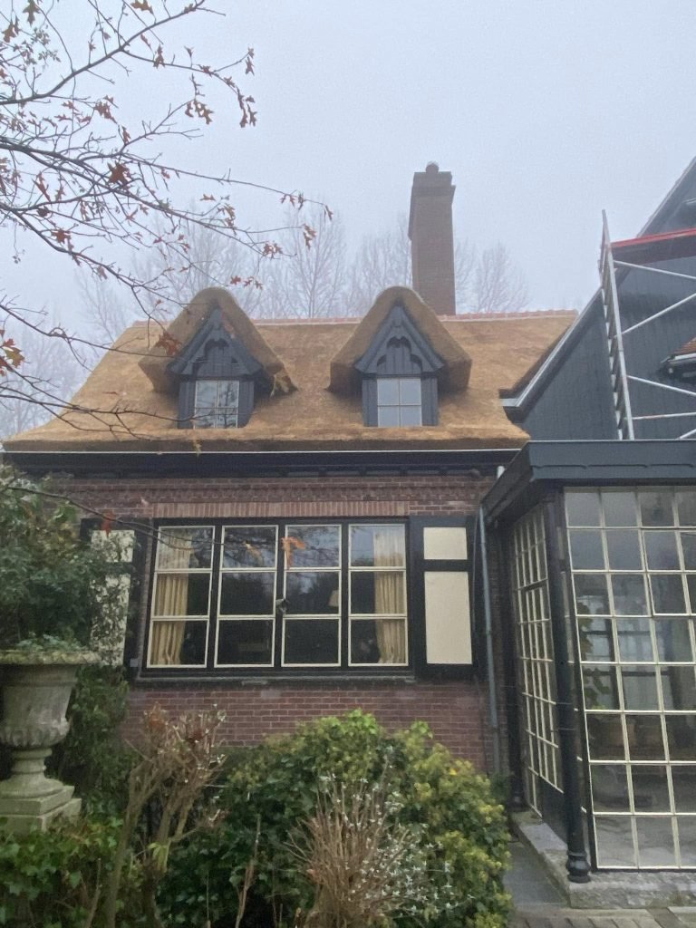 487120385-1146125993977761-1472264947950980824-n